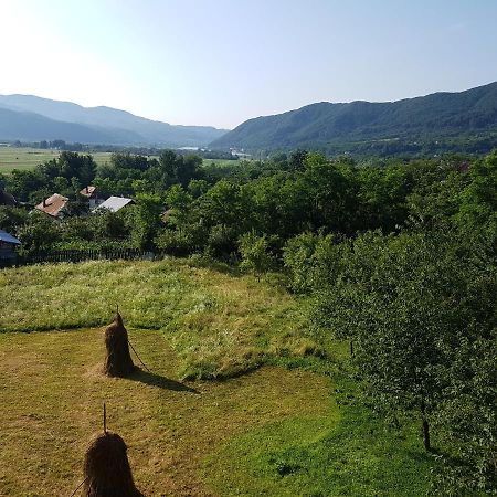 Pensiunea Adeluta Apartament Călimăneşti المظهر الخارجي الصورة