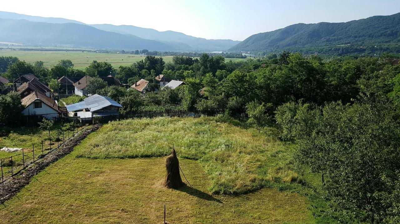 Pensiunea Adeluta Apartament Călimăneşti المظهر الخارجي الصورة